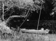 Solitary Boat: Mekong River – Vietnam