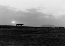 Serengeti Sunrise: Tanzania Africa