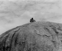 Queen of the wilderness: Tanzania Africa
