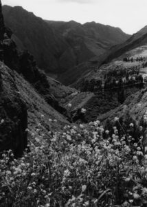Sagrado Valley: Peru