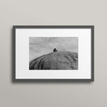 Queen of the wilderness: Tanzania Africa framed
