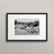Hippopotamus – Tanzania Africa framed