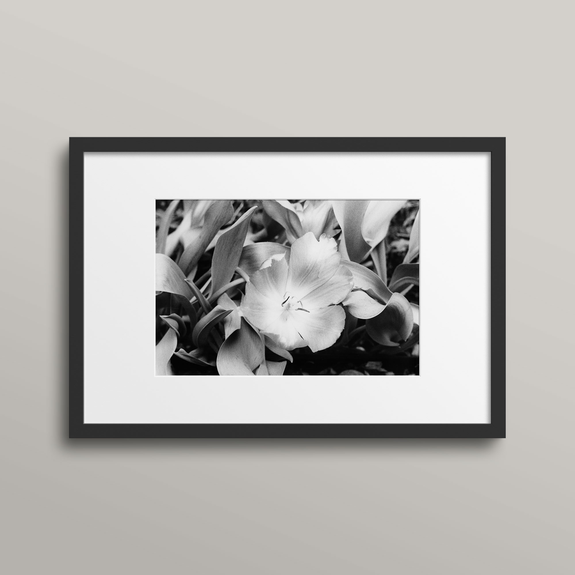 Blank-and-White-photo-Hope-No2 Blank-and-White-photo-Hope-No2