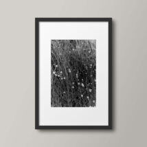 Blank-and-White-photo-Hope-No3