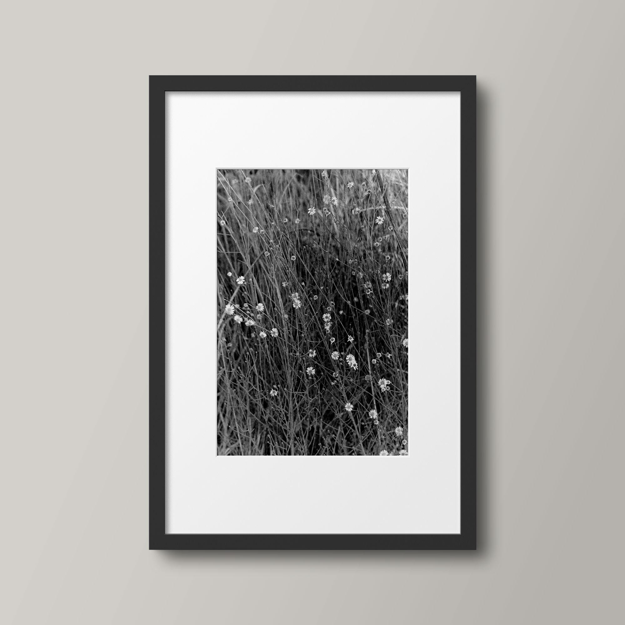 Blank-and-White-photo-Hope-No3 Blank-and-White-photo-Hope-No3